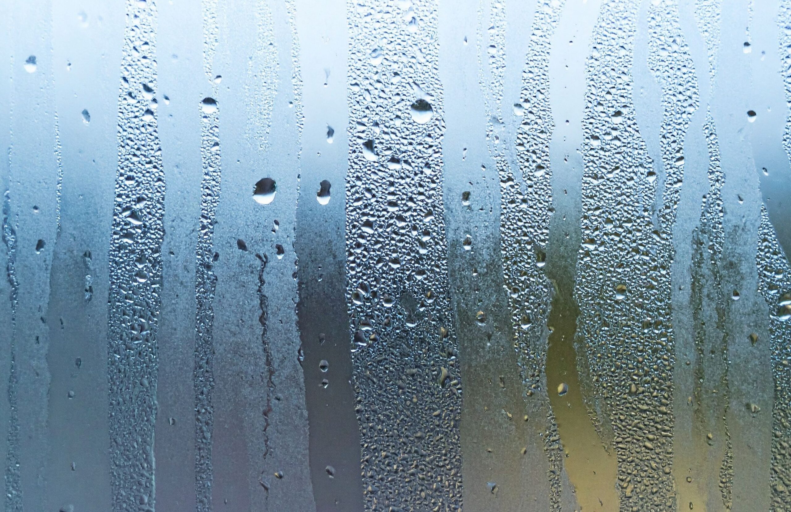 Why Are My Windows Wet Every Morning?